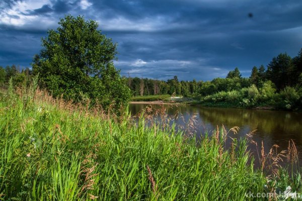 Природа Московской области