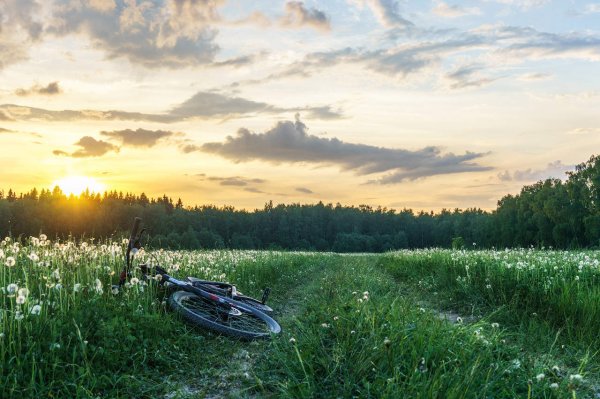 Подмосковная природа