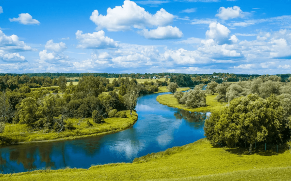 Берег реки в Подмосковье