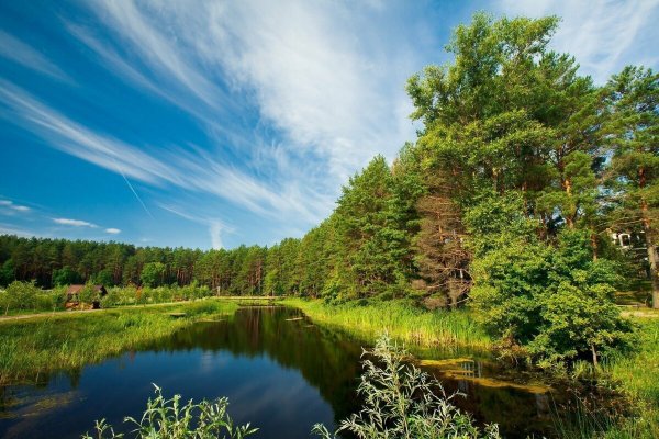 Природа Подмосковья