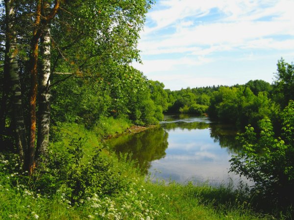 Можайское озеро Можайск