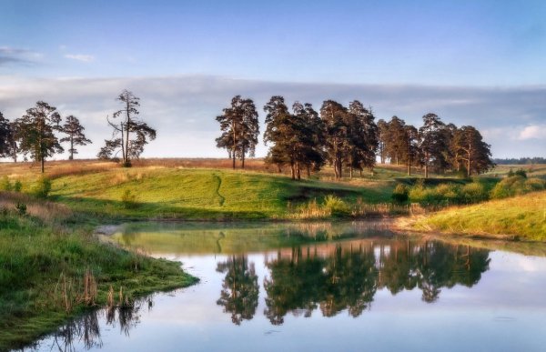 Лето 2022 природа