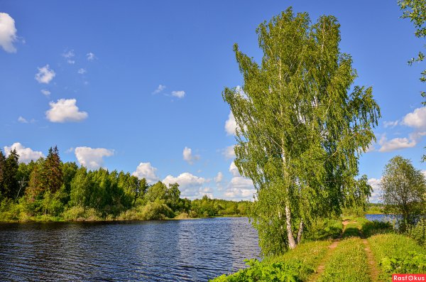 Река Руза берега