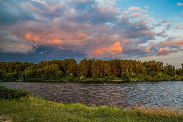 Природа Московской области