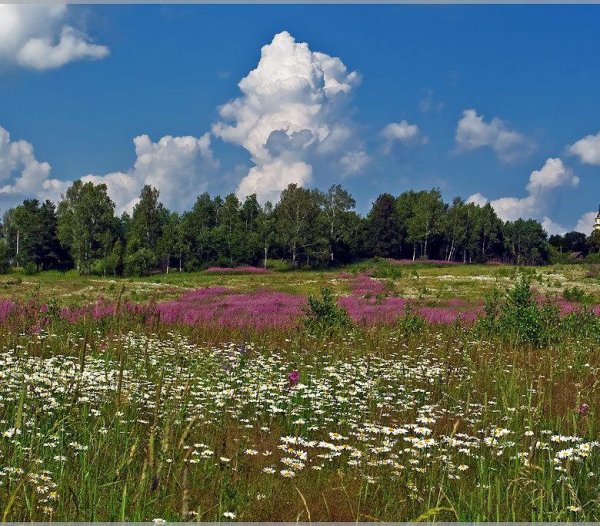 Подмосковье Церковь река лето