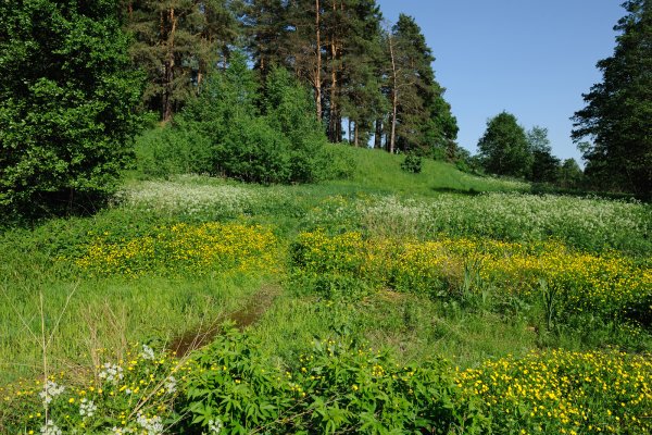 Салтыковка Московская область озеро