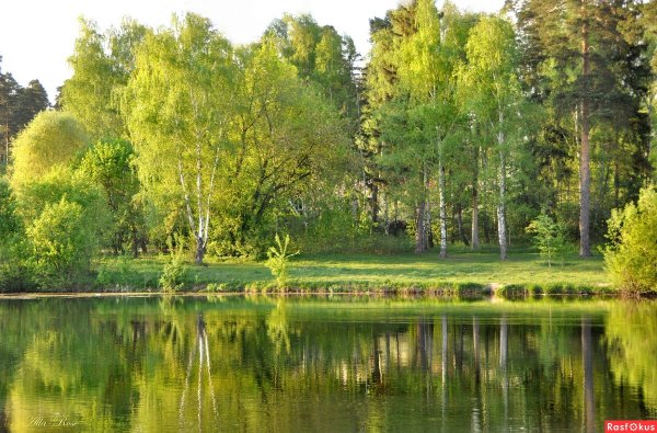 Река Богучарка