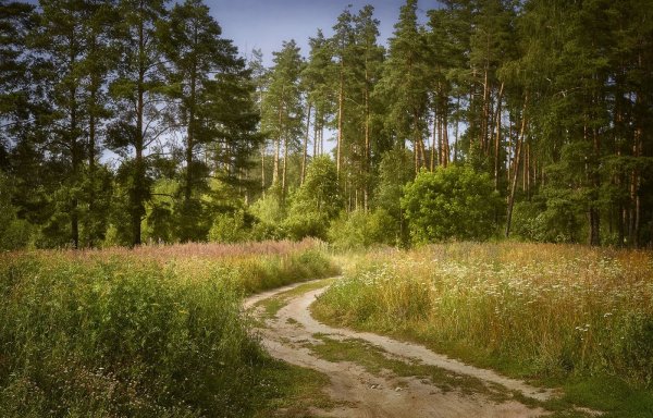 Река Нерская Куровское