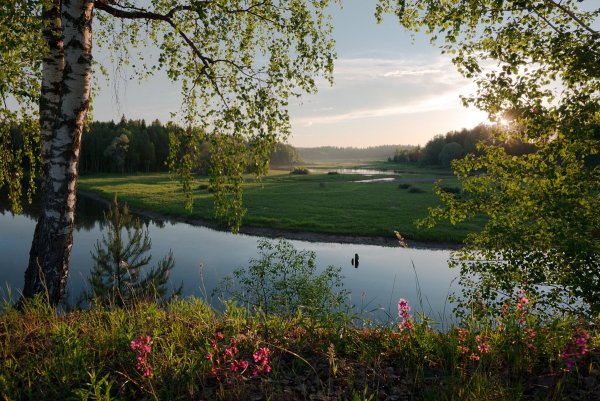 Природа Ступинского района Московской области