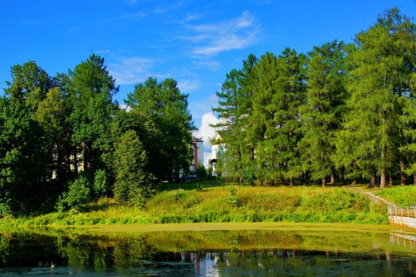 Река живописно Московская область