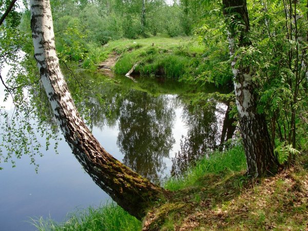 Загородные пейзажи Подмосковья