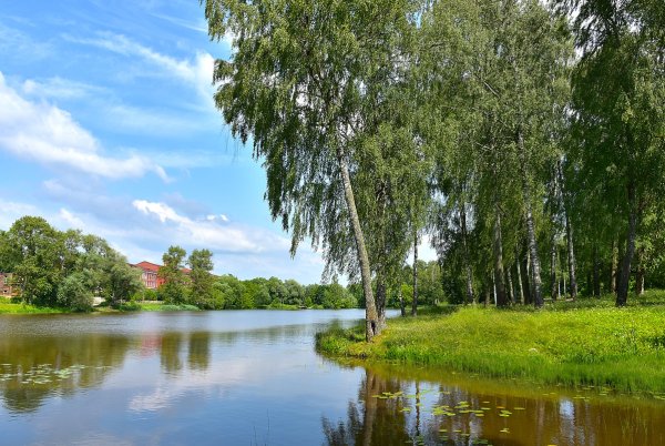 Пруды Подмосковья