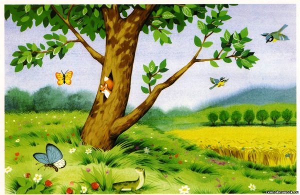 Дерево сезонов