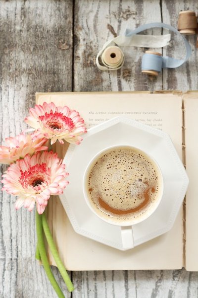 Чашка кофе цветы в саду