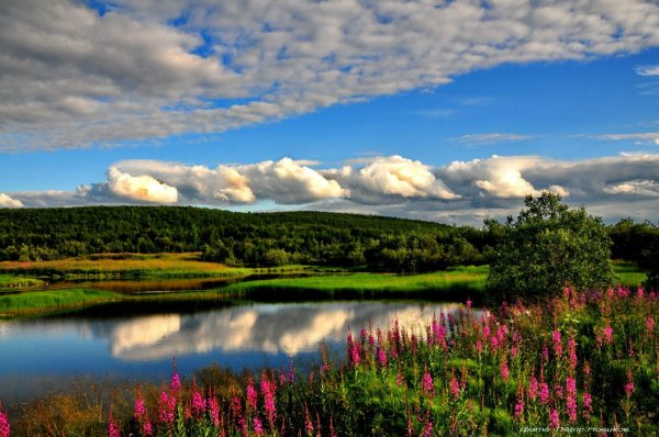 Мурманск природа