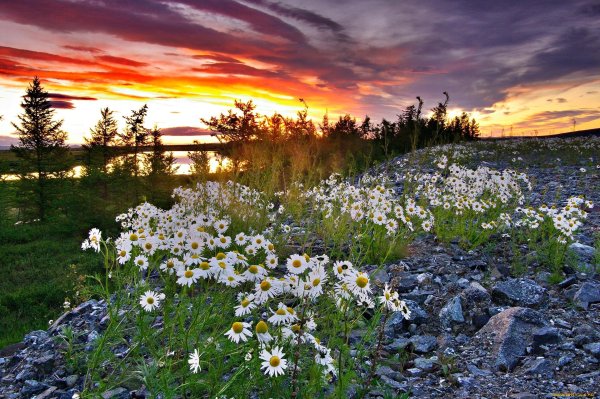 Природа Южного Урала Солнечная Поляна
