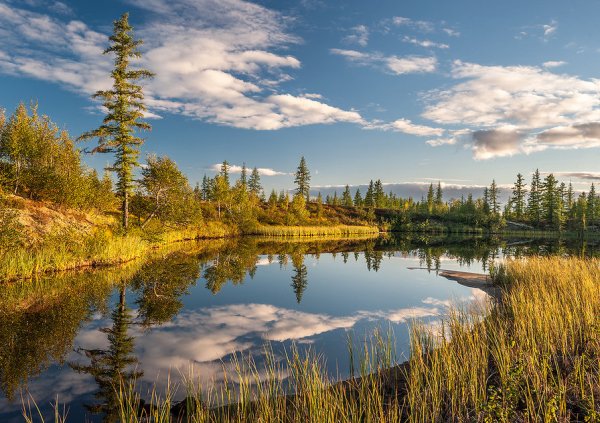 Ямало Ненецкий округ природа