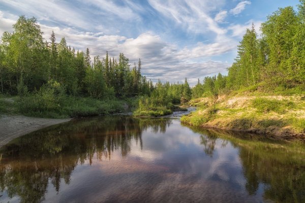 Река Олма Архангельской области