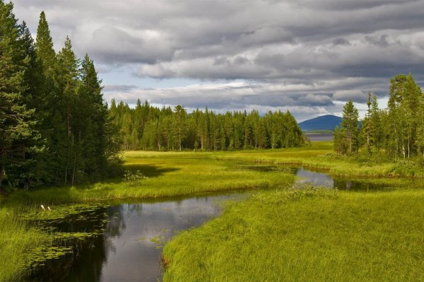 Соловки Карелия