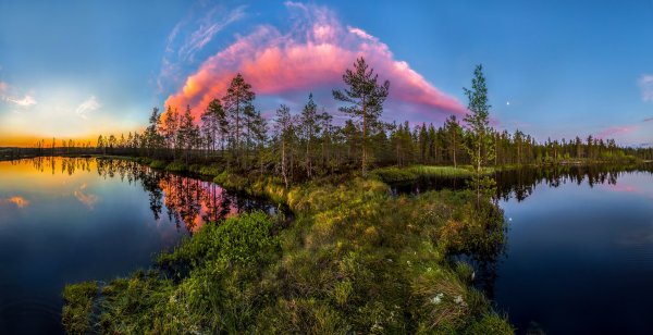 Федор Лашков Ленинградская область