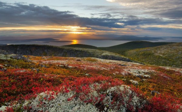 Сопки Кольского полуострова