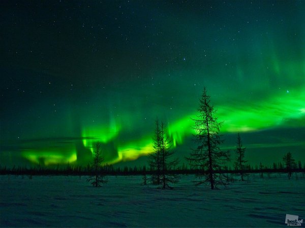 Северное сияние Ямало Ненецкий