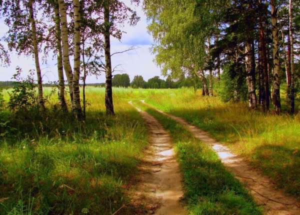 Проселочная Лесная дорога