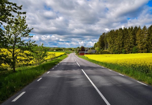 Тропа летний лес Россия