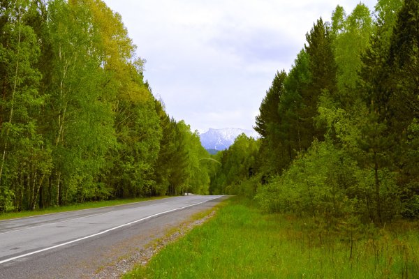 Красивая дорога