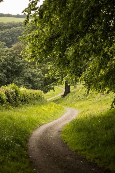 Деревня природа Проселочная дорога