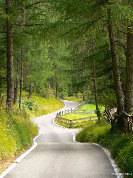 Вечерняя дорога