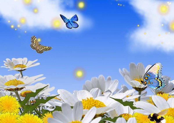 В одном мгновенье видеть вечность