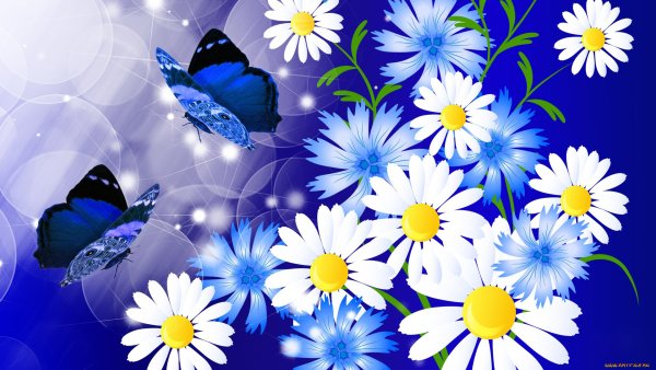 Фотообои полевые цветы с бабочками