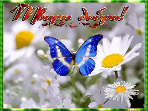 Бабочки на лугу рисование