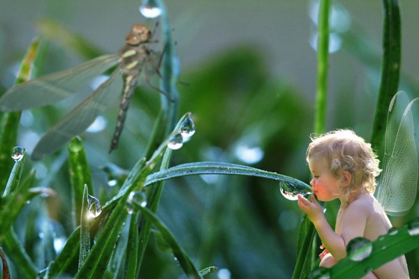 Умываться росой