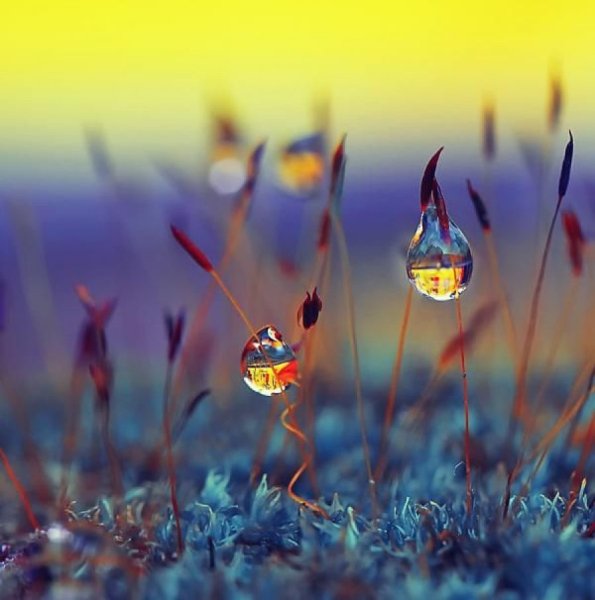 Настроение природы