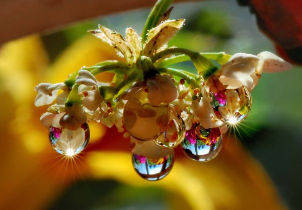 Удачи и хорошего настроения и радости во всем