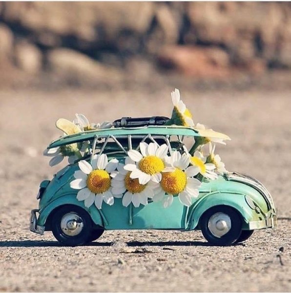 Девушки и авто