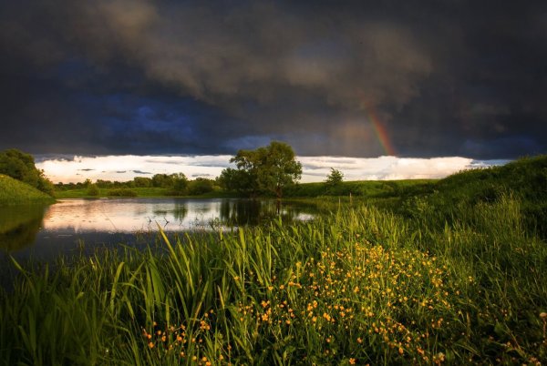 Природа после дождя