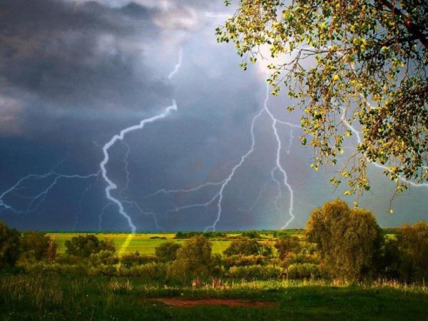 Поле перед дождем