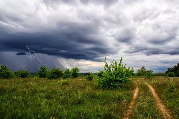 Природа после дождя