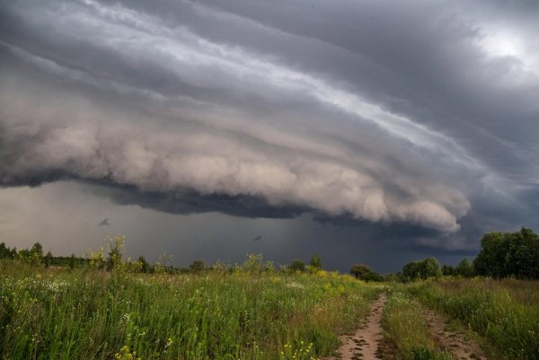 Гроза летом
