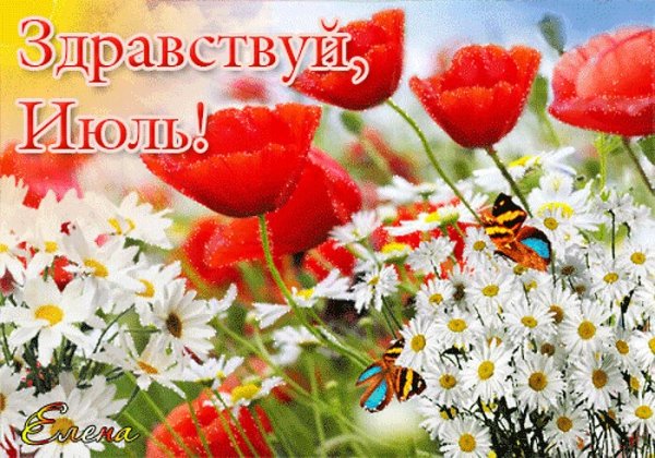 Летние цветы анимация