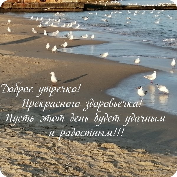 Суббота лето