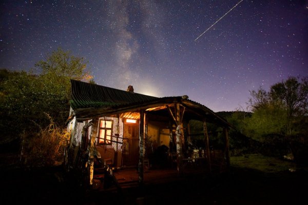 Дерево ночью