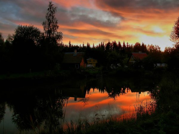 Звезды над домом