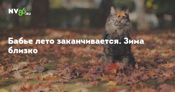 Вот и закончилась осень