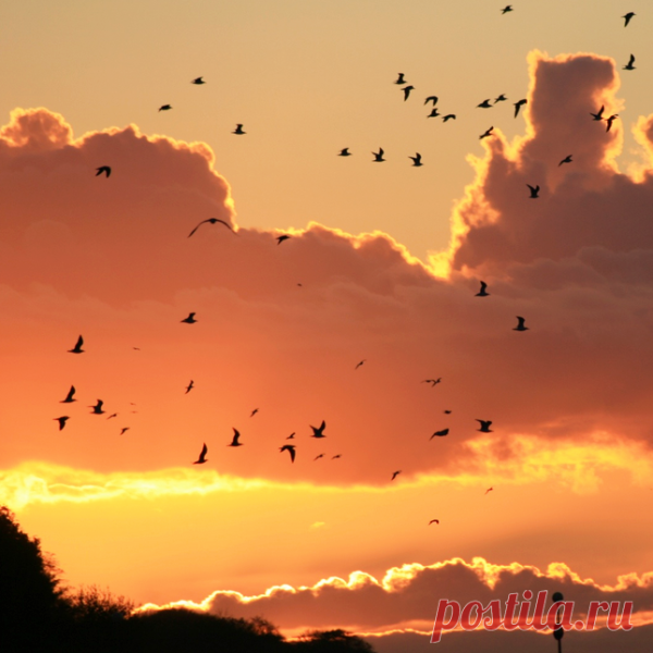 Прощай лето Здравствуй осень