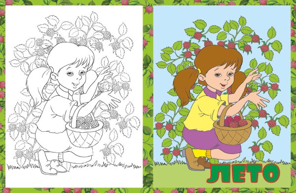 Раскраска времена года лето