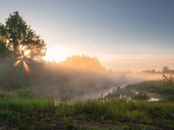 Летнее утро